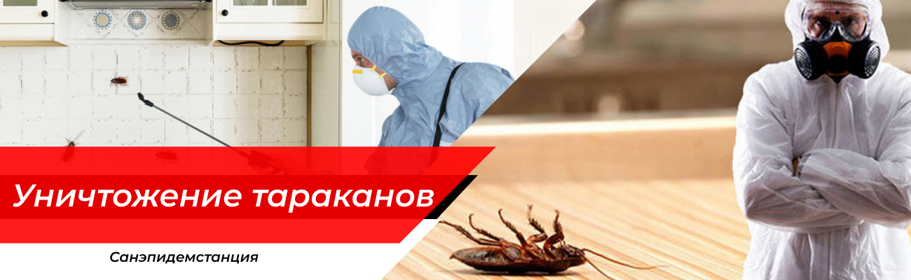 Уничтожение тараканов Шаховская